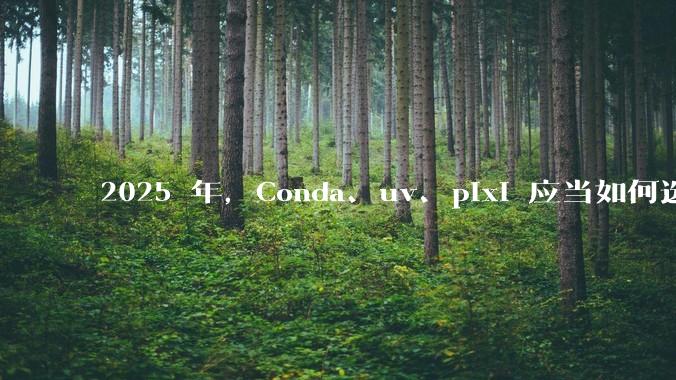 2025 年，Conda、uv、pixi 应当如何选择？
