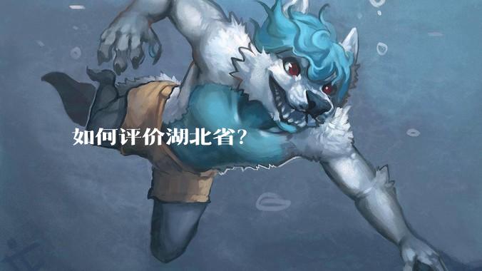如何评价湖北省？