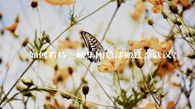 如何看待三峡集团总部搬迁至武汉？