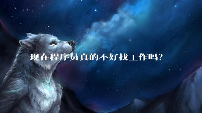 现在程序员真的不好找工作吗？