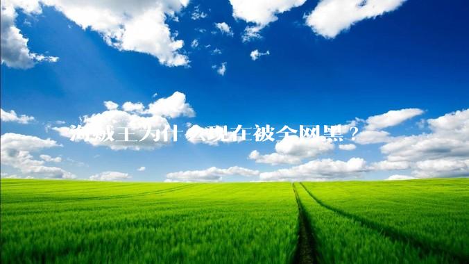 海贼王为什么现在被全网黑?