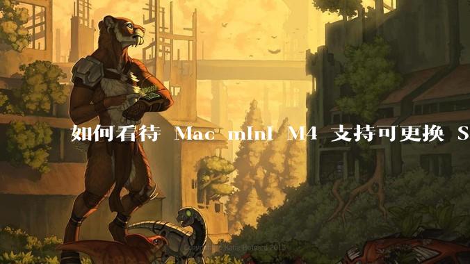 如何看待 Mac mini M4 支持可更换 SSD？