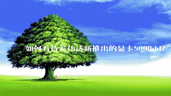 如何看待英伟达新推出的显卡5090dd？