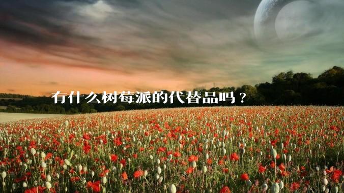 有什么树莓派的代替品吗?