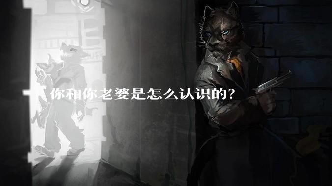 你和你老婆是怎么认识的？