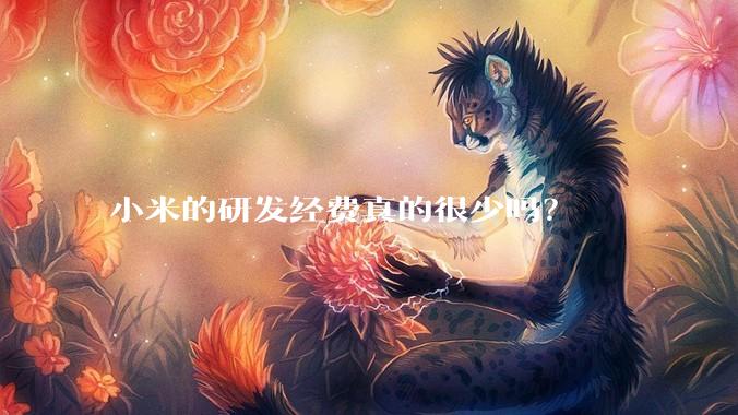 小米的研发经费真的很少吗？