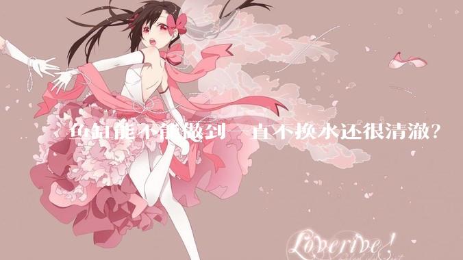 鱼缸能不能做到一直不换水还很清澈？