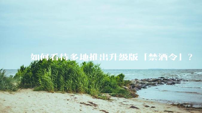 如何看待多地推出升级版「禁酒令」？