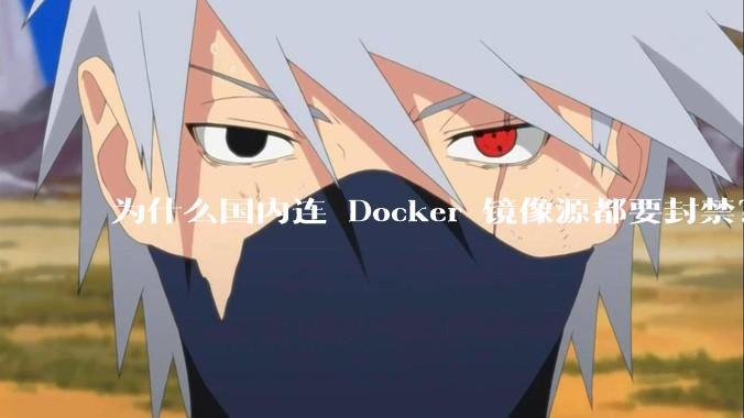 为什么国内连 Docker 镜像源都要封禁？