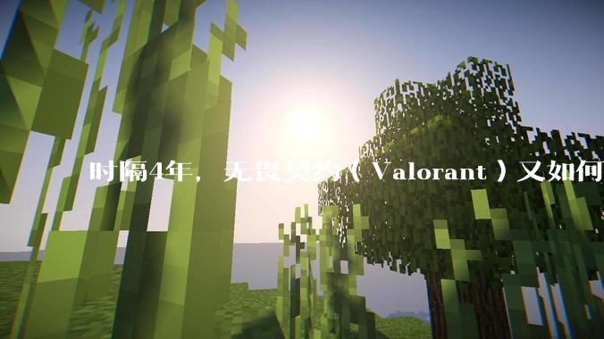 时隔4年，无畏契约（Valorant）又如何评价？