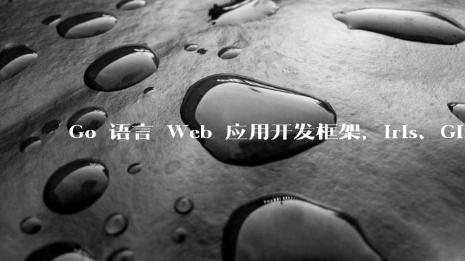 Go 语言 Web 应用开发框架，Iris、Gin、Echo，哪一个更适合大型项目？