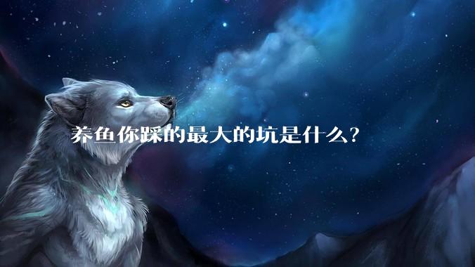 养鱼你踩的最大的坑是什么？