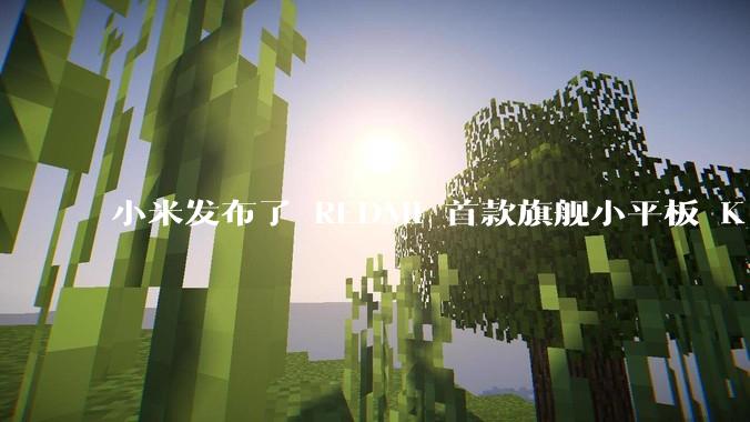 小米发布了 REDMI 首款旗舰小平板 K Pad，仅 8.8 英寸，小巧便携，如何评价这一设计？
