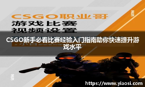 3377体育官网入口直播