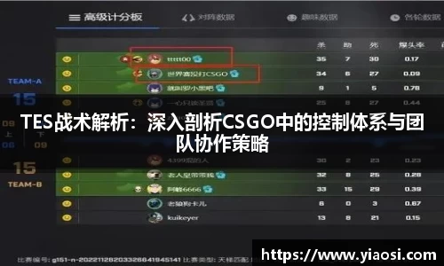 3377体育中国官方网站入口