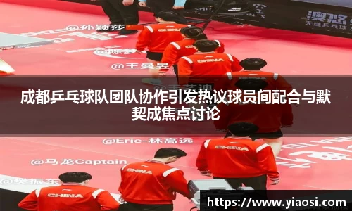 3377体育官网入口直播