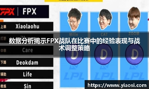 3377体育官网入口直播