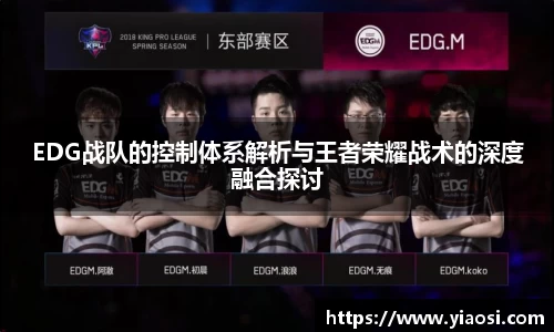 EDG战队的控制体系解析与王者荣耀战术的深度融合探讨