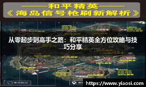 3377体育官网