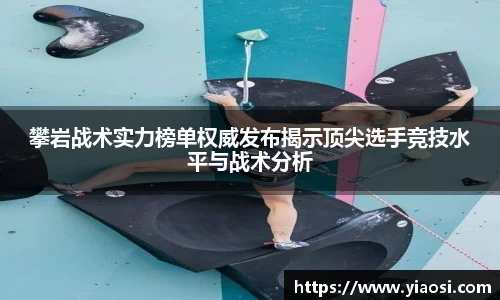 3377体育