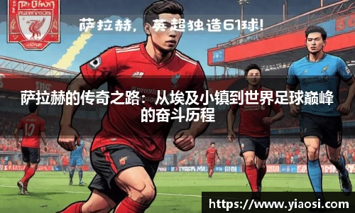 3377体育官网入口直播