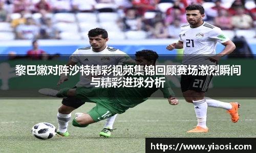 3377体育官网入口直播