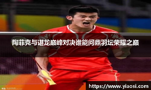 3377体育官网入口直播