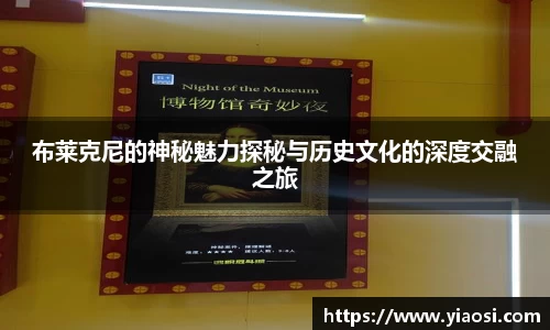 3377体育中国官方网站入口