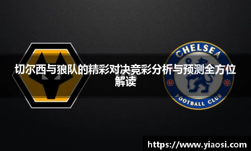 3377体育官网