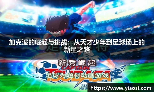 3377体育官网入口直播