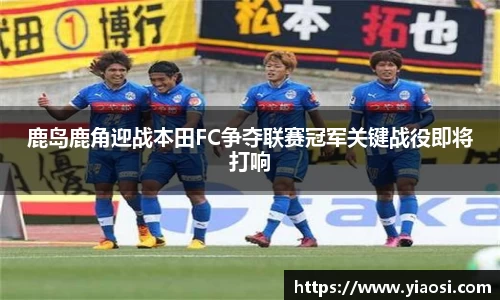3377体育官网入口直播