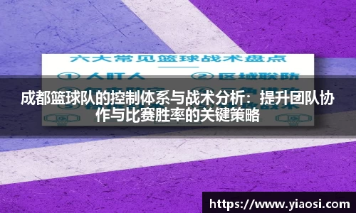 3377体育官网
