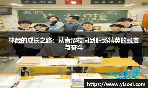 3377体育官网