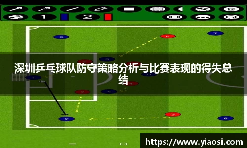 3377体育官网