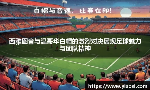 3377体育