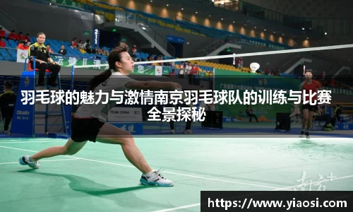 羽毛球的魅力与激情南京羽毛球队的训练与比赛全景探秘