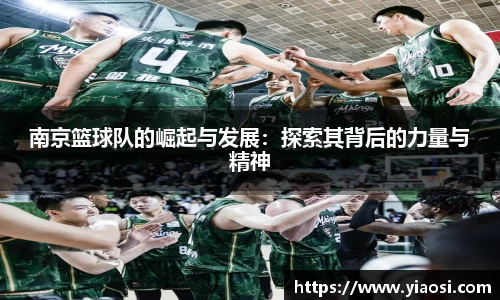 3377体育官网入口直播