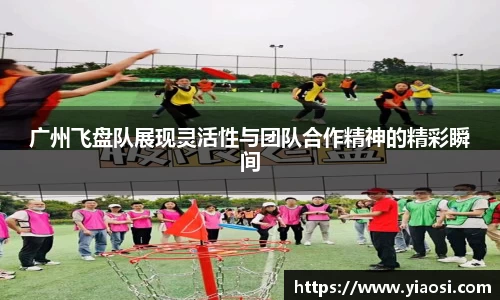 广州飞盘队展现灵活性与团队合作精神的精彩瞬间